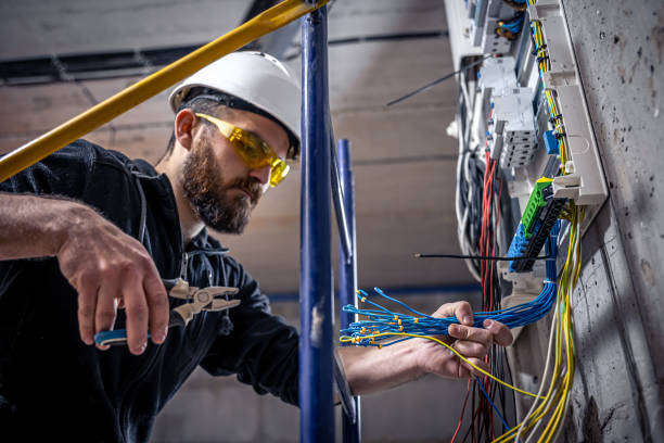 Best Generator Installation Services  in Marine, IL